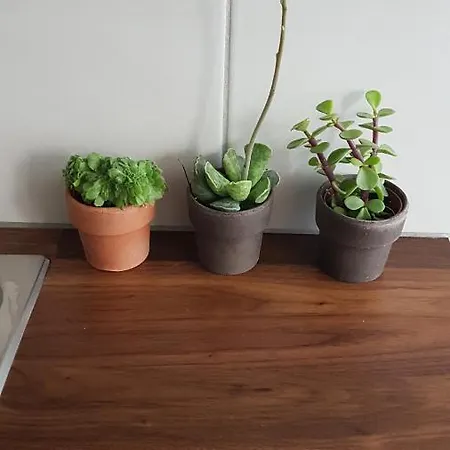Eliya's Place Apartment *